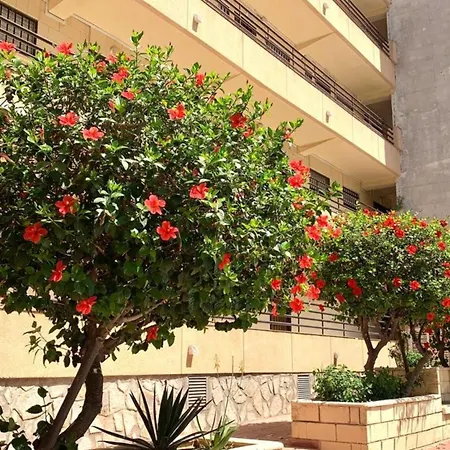 Apartamento Colores Del Mar *