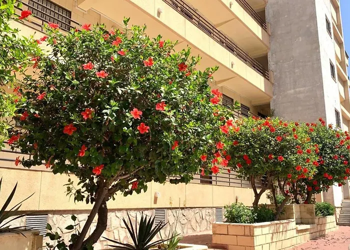 Apartment Colores Del Mar *